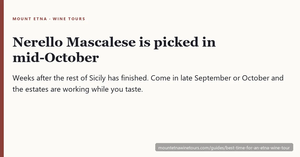 Best time for an Etna wine tour — season by season