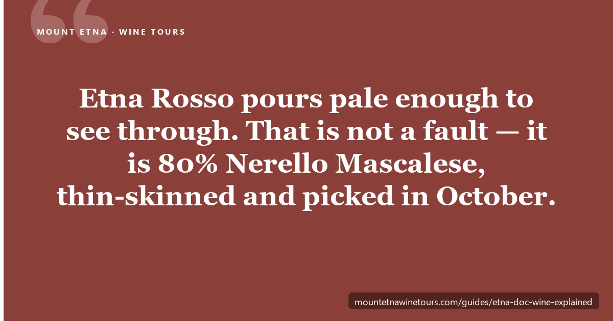 Etna DOC wine explained — Nerello Mascalese, Carricante and the contrada system