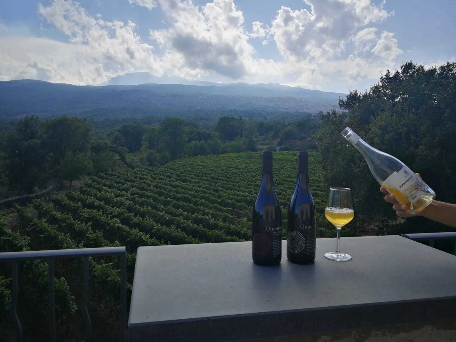 Bottles and a filled glass set on a terrace rail above the estate's vineyard