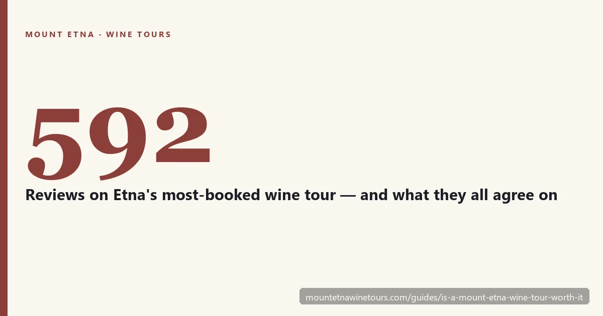 Is a Mount Etna wine tour worth it — what the reviews actually say