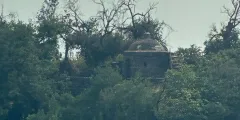 Guest photo from review